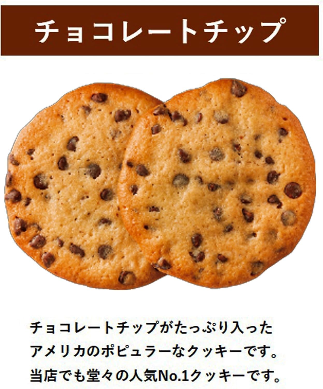 Amazon.co.jp: アントステラ チョコレートチップ/2枚トレーA 2枚×10個